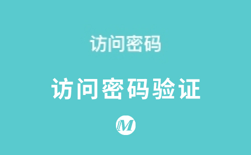 访问密码验证