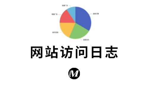 网站访问日志