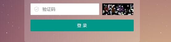 PbootCMS后台登录验证码有数值，但是看不清是怎么回事？