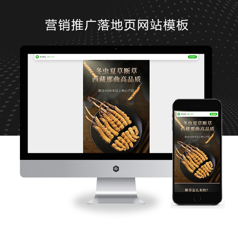 (独立手机版)营销推广落地页pbootcms模板 落地页单页网站源码下载